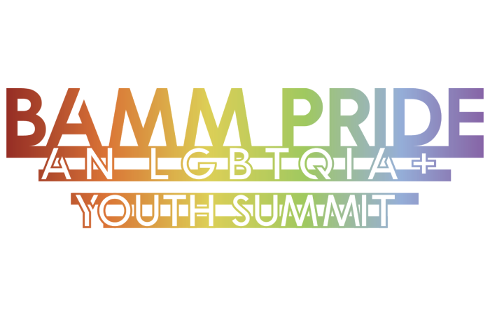BAMM Pride Summit Banner
